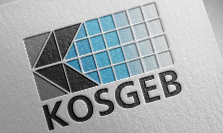 Girişimci Destek Programı 2025